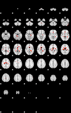 Patients 29733 54