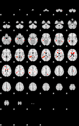 Patients 29735 23