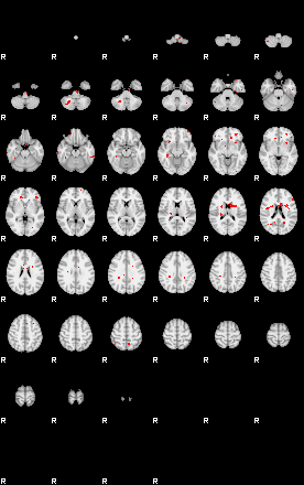 Patients 29735 24