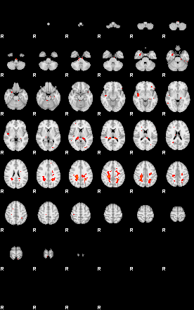 Patients 29735 73