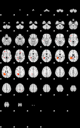 Patients 29799 3