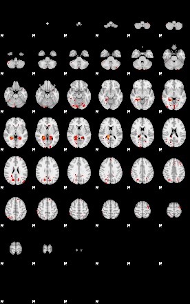 Patients 29873 23