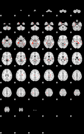 Patients 30018 40