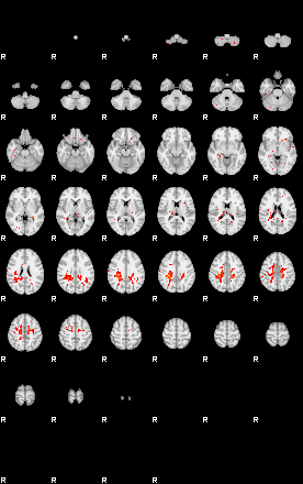 Patients 30019 156