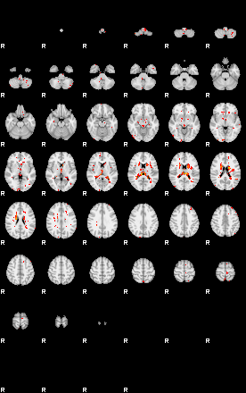 Patients 30179 24