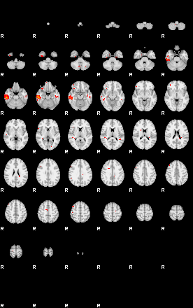 Patients 28901 75