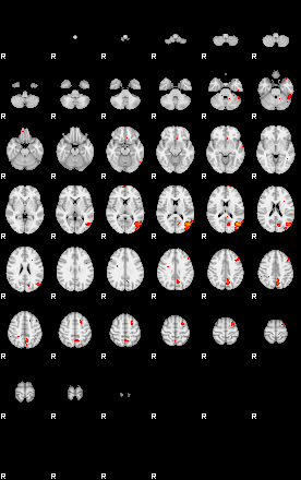 Patients 29157 19