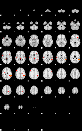 Patients 29174 141