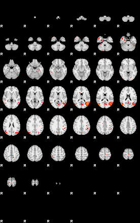 Patients 29403 194