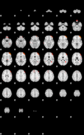 Patients 29175 134