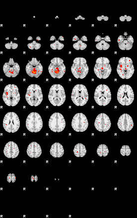 Patients 29107 70