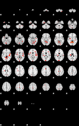 Patients 29224 53