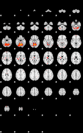 Patients 29417 102