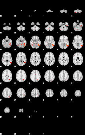 Patients 28679 8