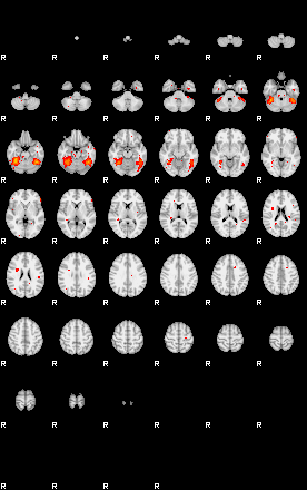 Patients 29104 137