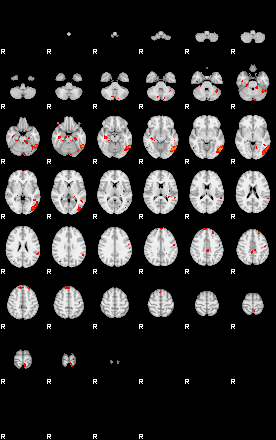 Patients 29171 8