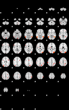 Patients 29481 42