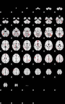 Patients 29606 28