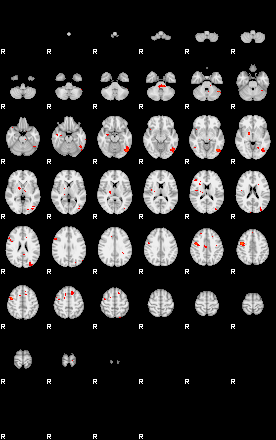 Patients 29734 2