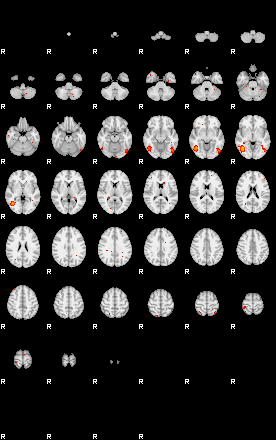 Patients 29191 118