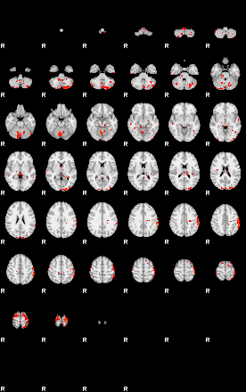 Patients 28853 25