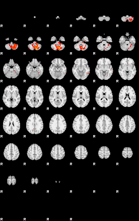 Patients 29064 91