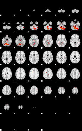 Patients 29150 24