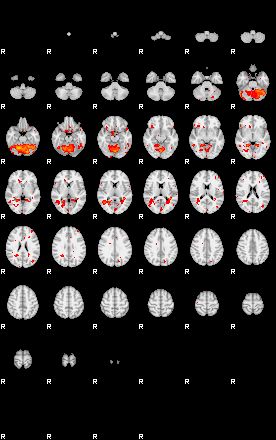 Patients 29151 46