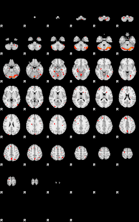 Patients 29276 99