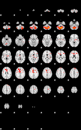 Patients 29408 22