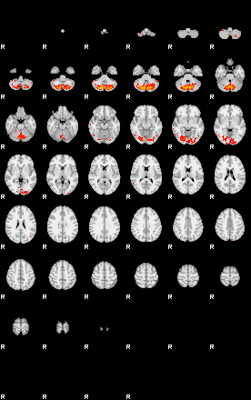 Patients 29510 19