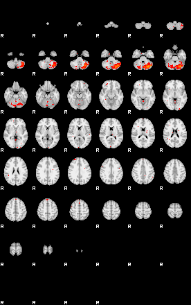 Patients 29572 19