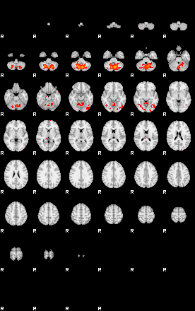 Patients 29741 19