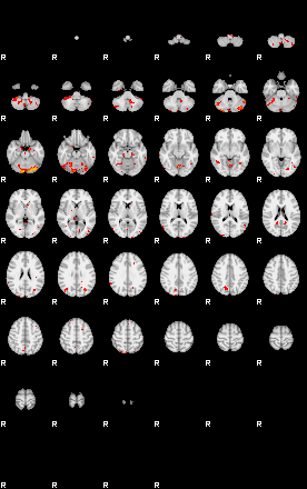 Patients 29743 137