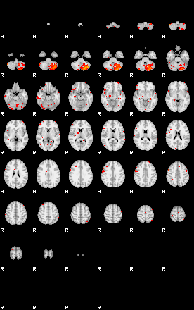 Patients 29874 19