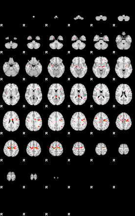 Patients 29510 84