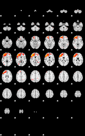 Patients 30005 15