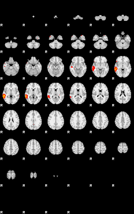 Patients 29070 87