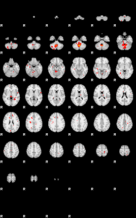 Patients 29206 38