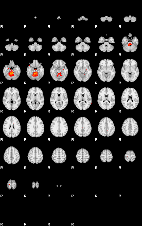 Patients 29401 43