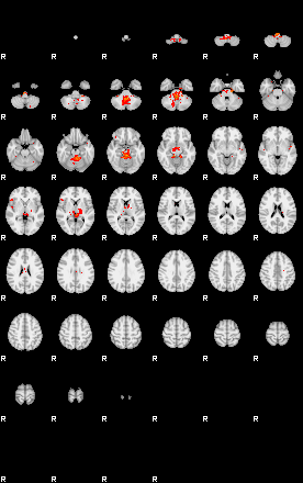 Patients 29569 192