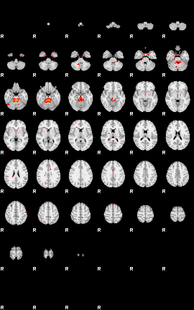 Patients 29730 71