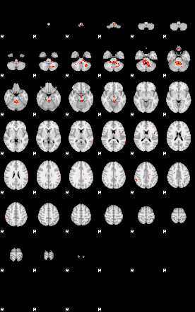 Patients 30014 31