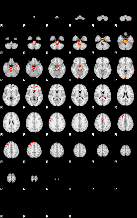 Patients 29162 48