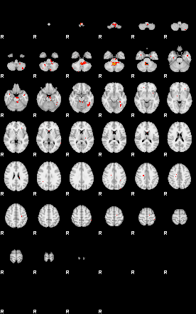 Patients 29219 27