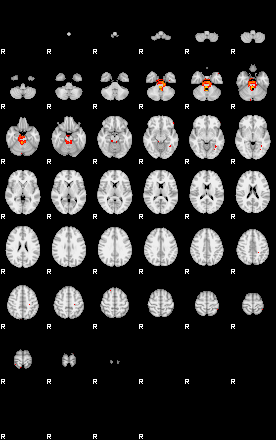 Patients 29158 63