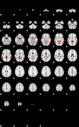 Patients 28831 8