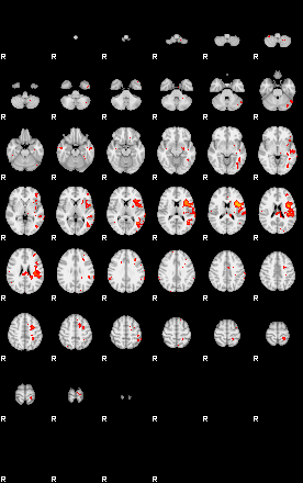 Patients 29010 69