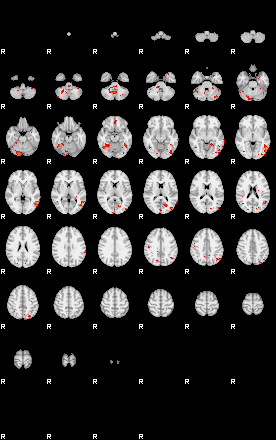 Patients 29106 50