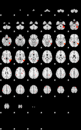 Patients 29170 10